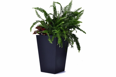 products/Кашпо Keter Rattan Planter M (medium) 55,4L (17192301) 228974