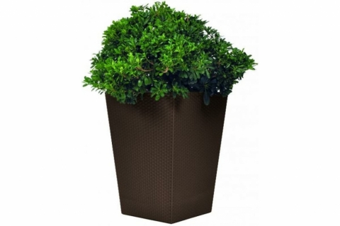 products/Кашпо Keter Rattan Planter M (medium) 55,4L (17192301) 228975