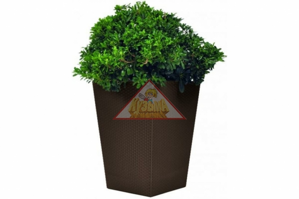 Кашпо Keter Rattan Planter M (medium) 55,4L (17192301) 228975