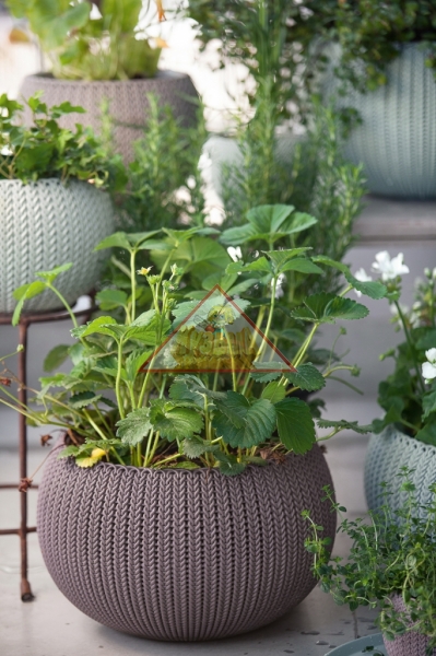 Кашпо Keter COZY Planter M with hanging chain 9,7L (17202379) 231129