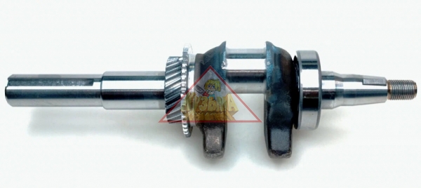 Вал коленчатый в сборе 177F/CGP 99100E Carver, арт. 01.022.10035