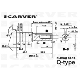 Двигатель бензиновый Carver EX210, арт. 01.010.00150